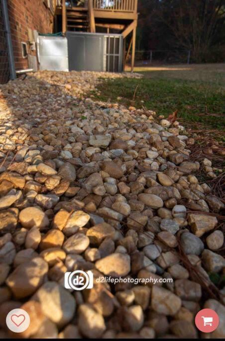Pine Forest Zen Cottage - 10 Min To Fort Bragg Fayetteville Εξωτερικό φωτογραφία